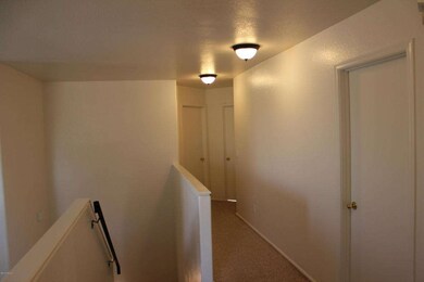 cindy hallway