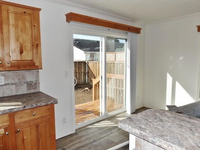 Slider to Back Yard