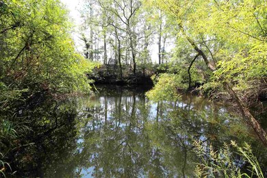 0 Wakulla Springs Hwy, Crawfordville, FL 32327 - photo 6