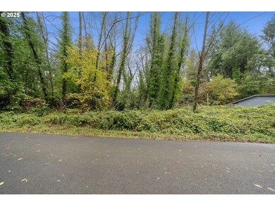 0 St, Nehalem, OR 97131 - photo 6