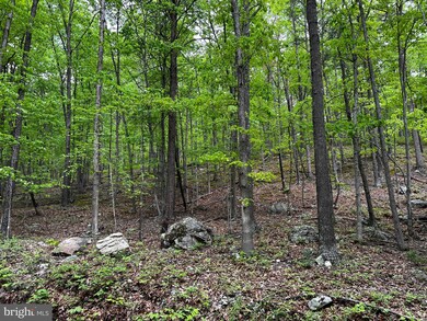 0 Dumpling Run Rd unit WVHD102062, Moorefield, WV 26836 - photo 6