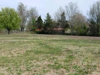 1314 River Hill Rd, Statesville, NC 28625 - photo 5