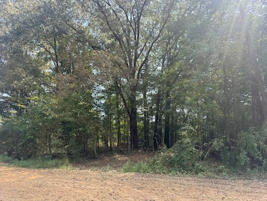 25 Bell Grove Rd, Oakland, TN 38028 - photo 6