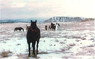 milepst 28 Utah 12 unit 1045 Ac with 1462 ac, Henrieville, UT 84736 - photo 3