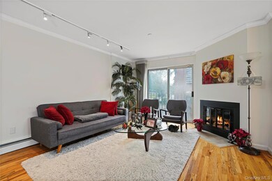 Copper Beech unit 3-9, White Plains, NY 10601 - photo 6