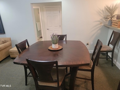 210 Raceday Center Dr unit 1505, Bristol, TN 37620 - photo 5