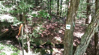 336 Beaver Pond Hill Rd, Richmond, VT 05477 - photo 3