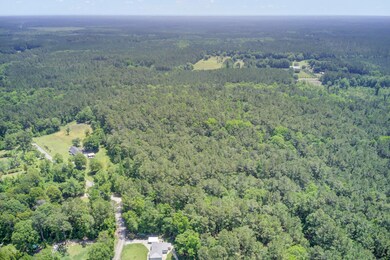 Drone View