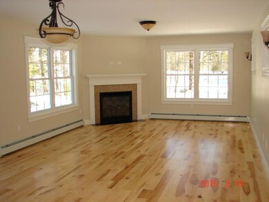 Living room with fireplace