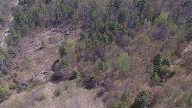 3 Old Bradley Rd unit 3, Saint Johnsbury, VT 05819 - photo 3