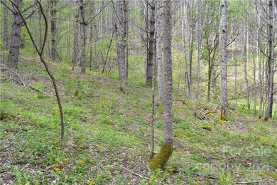 n/a Bald Mountain Rd, Burnsville, NC 28714 - photo 3