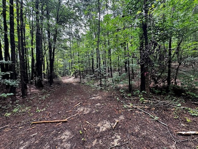 3550 Morgans Run Pkwy, Bessemer, AL 35022 - photo 4