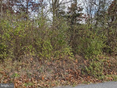 0 Spielman Rd unit WVMO117720, Berkeley Springs, WV 25411 - photo 2