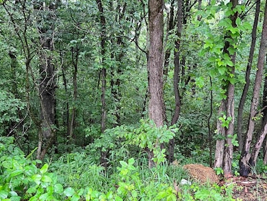 000 W Nettleton Ave, Jonesboro, AR 72401 - photo 7