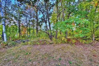 Harbor Dr, Garrison, MN 56450 - photo 7