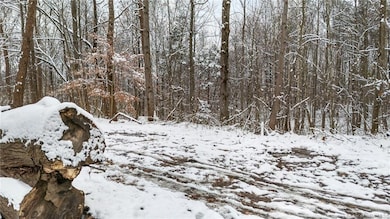 1357 N 3, Blocher, IN 47138 - photo 6