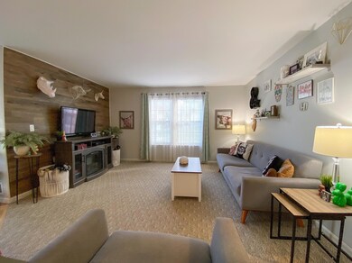 201 Pine Meadow Livingrm