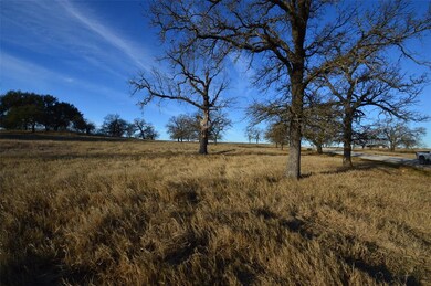 508 Dually Trail, Weatherford, TX 76087 - photo 5