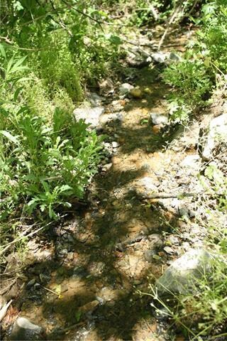 TBD Seay Rd, Lower Hominy, NC 28715 - photo 6