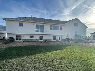 Back of House