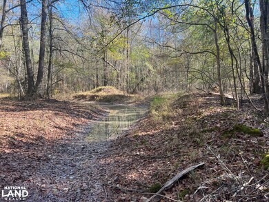 0 Hayes Crossing Rd unit 25566057, Millport, AL 35576 - photo 4