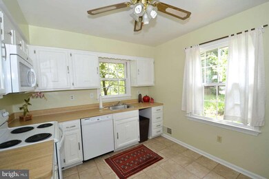 3027 Sleepy Hollow Rd, Falls Church, VA 22042 - photo 4