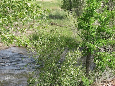 TBD Vacant Land St, Villa Grove, CO 81155 - photo 3