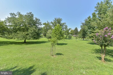 511 Warrenton Dr, Silver Spring, MD 20904 - photo 4