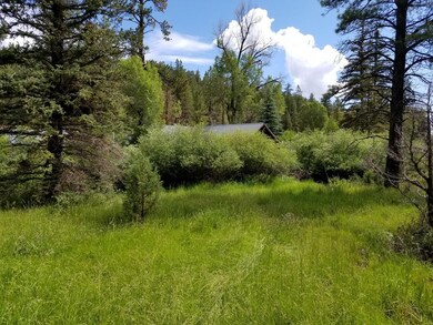 Meadow Area Next to Creek