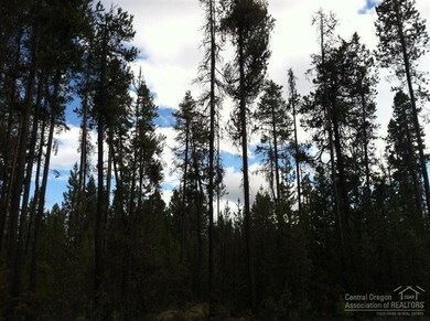 16975 Upland, Bend, OR 97707 - photo 3