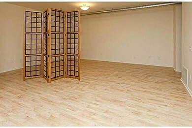 Master Bedroom. Huge sleeping area could easily be