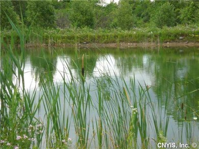Yard/Garden. Large pond provides a very special po