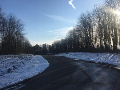 27 Michael Ln, Ionia, MI 48846 - photo 5