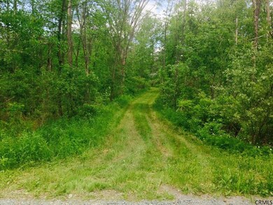 299 Middleline Rd, Ballston Spa, NY 12020 - photo 4