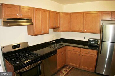 Goodlow House unit R61, Baltimore, MD 21210 - photo 6