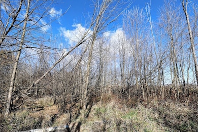 Vl 32nd Ave, Covert, MI 49043 - photo 6