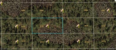 0 Dill Rd unit MFRO6233811, Orlando, FL 32820 - photo 2