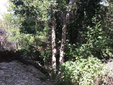 10055 Bluffview Ct, Whitney, TX 76692 - photo 3