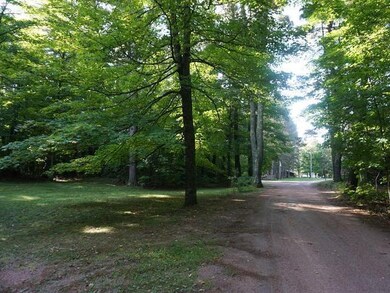 N11266 Co Op Park Rd, Tomahawk, WI 54487 - photo 4