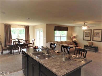 Kitchen to Living