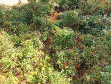 0 Confederate Point Dr unit 1657217, White Oak, GA 31568 - photo 4