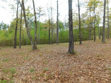 Lot 2 Old Chapman Bridge Rd, Salem, SC 29676 - photo 5