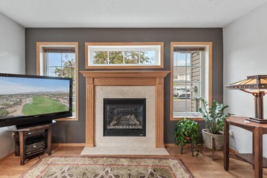 Gas Fireplace with Window Surround