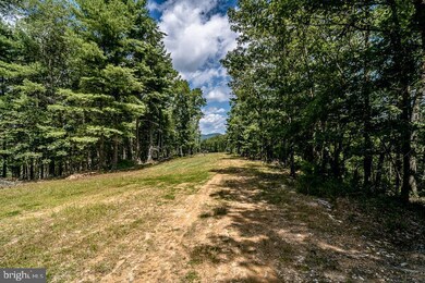 0 Broad Run, Eastern, WV 26802 - photo 7