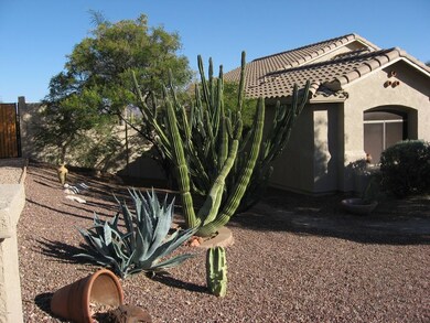 Side Yard