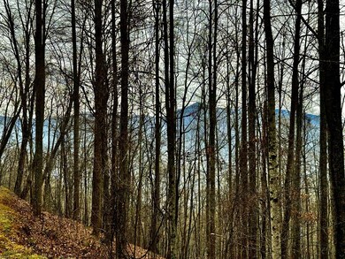 unlisted-address, Barkers Creek, NC 28789 - photo 6