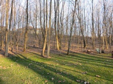 Wooded Privacy Hedge