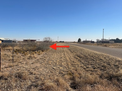 TBD County Road 300 K, Seminole, TX 79360 - photo 3