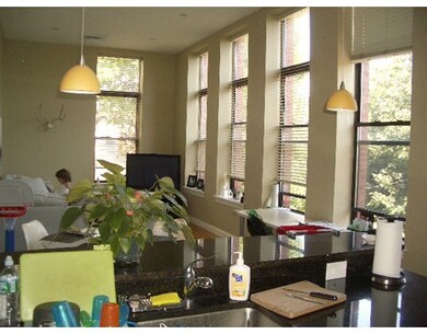 20 Mcternan St unit 207, Cambridge, MA 02139 - photo 2