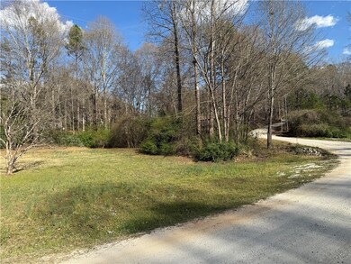 100 Davis Hill Rd, Walhalla, SC 29691 - photo 4